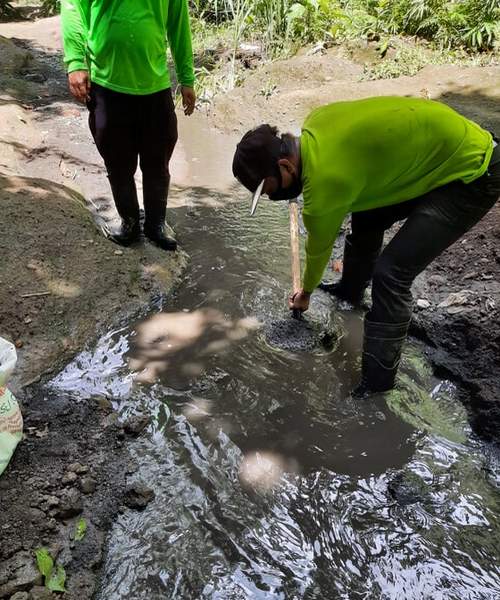 Special Project-500x600